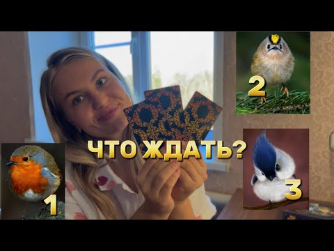 Видео: ЧТО ЖДАТЬ-ОЖИДАТЬ? Давай глянем?😏#тароонлайн #тароshorts #чтонапороге