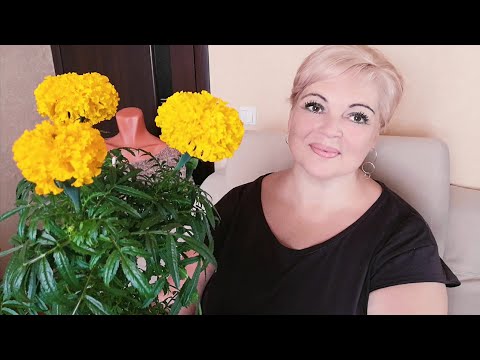 Видео: #РадиоТаня Посидим, Поговорим, Повяжем!  #вязание #ТатьянаКильмяшкина