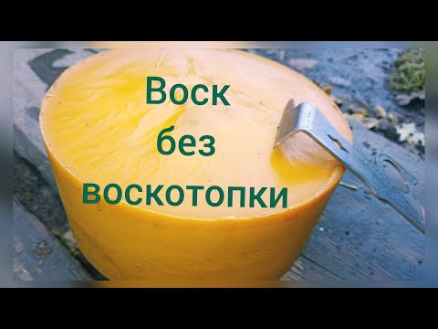 Видео: 🐝🐝перетопка #воска на #пасеке для изготовления #вощины. Бюджетный способ. #beeswax #beekeeping