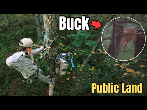 Видео: УСПЕХ ДНЯ ОТКРЫТИЯ! | Охота с луком на общественных землях Теннесси