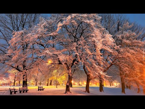 Видео: ♫ Beautiful winter melody ♫ Зимняя мелодия для души ♫