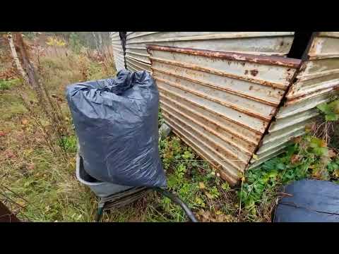 Видео: 4401 Как сажать картошку под зиму. How to plant potatoes before winter.