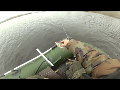 Видео: р.Луга. Ловим на снасть кольцо .Весна 2020г.