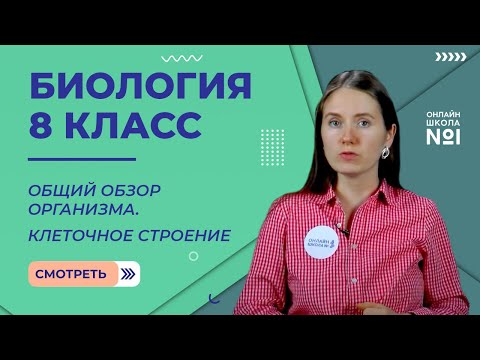 Видео: Общий обзор организма. Клеточное строение. Видеоурок 5. Биология 8 класс