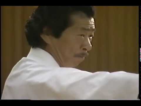 Видео: Hoshu Ikeda. Jyoshinmon demonstration. Демонстрация техники Дзёсинмон Икеда Хошу.