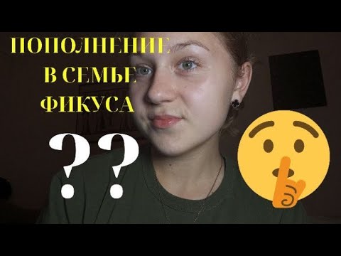 Видео: ПОПОЛНЕНИЕ В СЕМЬЕ ФИКУСА 🤫🤫🫢