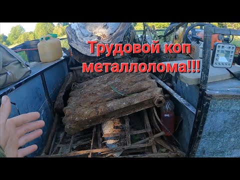 Видео: Трудовой металлокоп. Делянки, деревня копаем везде где только можно.