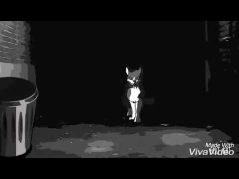 Видео: Коты воители|Кровавое племя