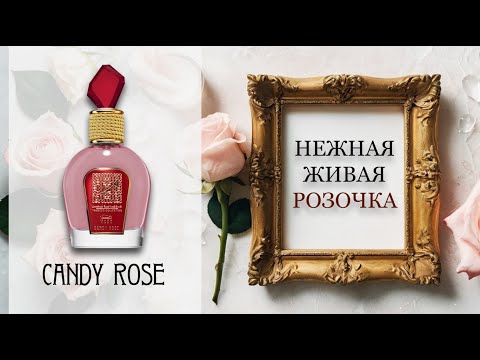 Видео: ОБЗОР Candy Rose Lattafa.