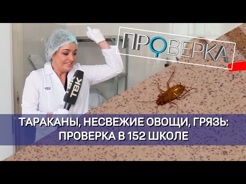 Видео: «Проверка» ТВК: красноярская школа №152