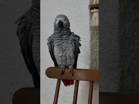 Видео: Все на урок'  узнаете много нового