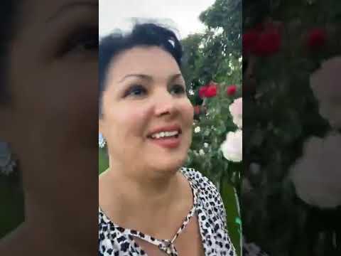 Видео: Анна Нетребко (@anna netrebko yusi tiago~1655315454~17889528020648846~1