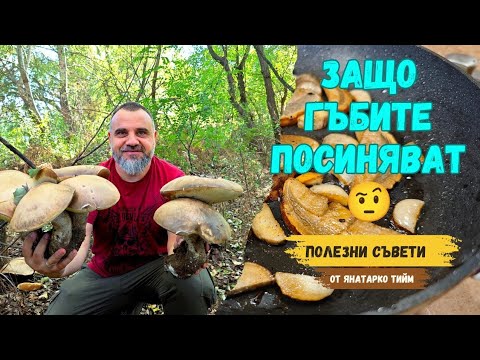 Видео: #Защо #гъбите #посиняват? #Полезни #съвети от Янатарко тийм.