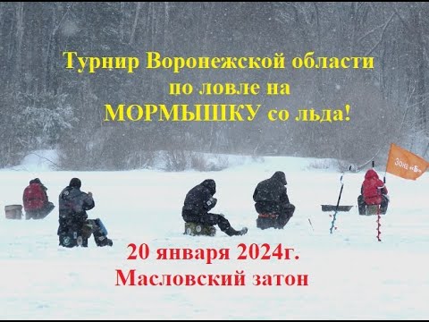 Видео: Турнир Воронежской области по мормышке январь 2024