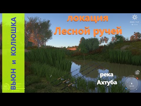 Видео: Русская рыбалка 4 - река Ахтуба - Вьюн и колюшка в протоке