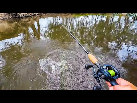 Видео: О, как я люблю ловлю мюррейской трески в декабре!