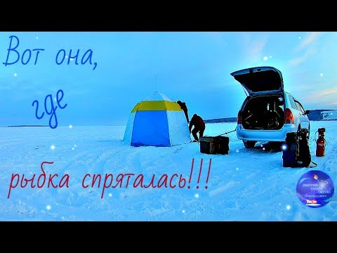Видео: Рыба кишит!!! Рыбалка на Братском водохранилище!