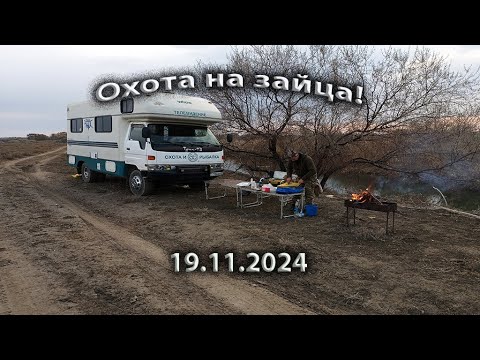Видео: Охота на степного зайца.