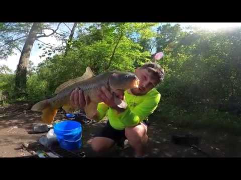 Видео: Рыбалка на карп, Chicago (День 2) / Carp Fishing, Fox River(Chicago,Day2)
