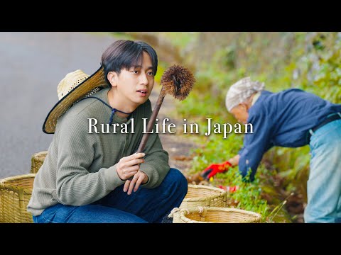 Видео: Медленная жизнь в японской деревне 🇯🇵 Спокойный день: сбор каштанов и хурмы