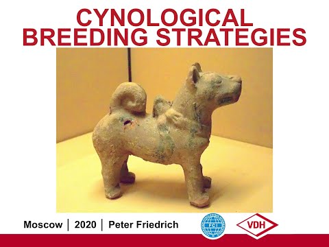 Видео: Стратегия племенного разведения | «Ответственное собаководство онлайн»