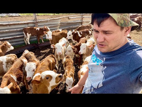 Видео: Концентрационные лагеря Нюрбинского района
