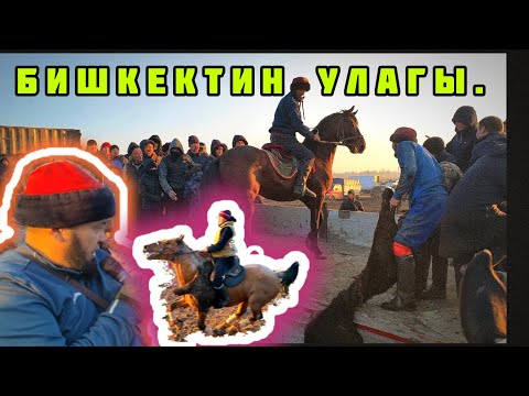 Видео: Аламан Улак/ Бишкек 17-12-22. Лейлек району өткөргөн шерине улак.