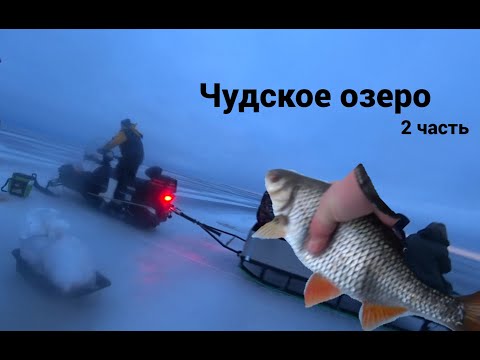 Видео: Продолжение! Рыбалка мечты на Чудском озере! 2 часть