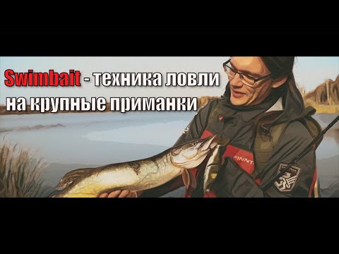 Видео: Свимбейты. Техника ловли на крупные приманки. Imakatsu.