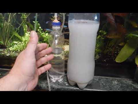 Видео: Безопасная система СО2 на браге , важные моменты.