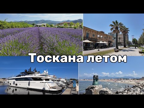Видео: Лавандовое Поле. Пляжи Виареджио. Что Посмотреть в Тоскане Летом