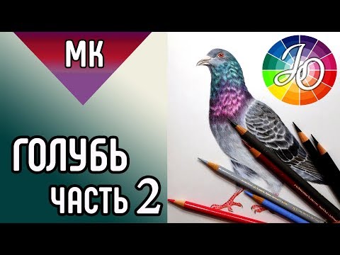 Видео: ГОЛУБЬ 👍✔ Как нарисовать птицу цветными карандашами (часть 2) / HowToDraw a pigeon