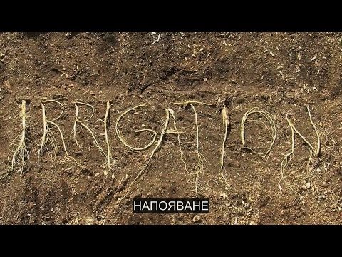 Видео: 03. Завръщане към Едем - филм за органично градинарство / част трета