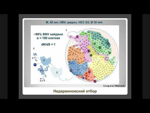 Видео: Клональная эволюция опухоли (Савелов Н.А.)