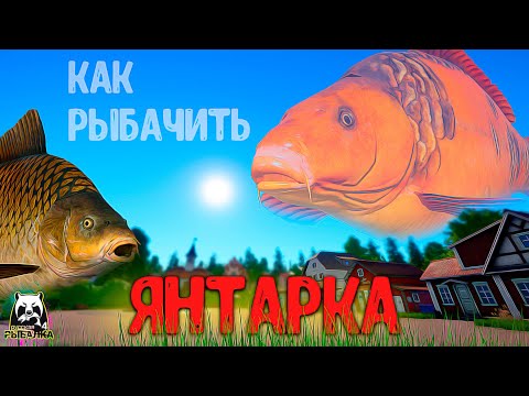 Видео: Rf4 сборки для янтарки, какие точки, наживки и секреты #рр4