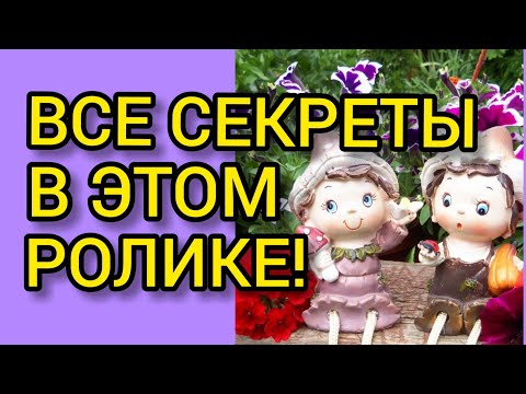 Видео: ПЕТУНИЯ по дням!//Все секреты от А до Я!