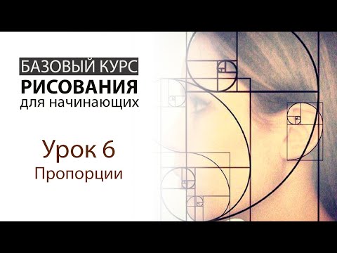 Видео: Урок 6. Пропорции