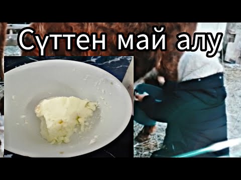 Видео: Қолдың сары майын жасау