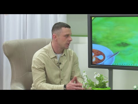 Видео: Званый гость - Гипнотерапия - экологичный путь к позитивным изменениям. Роман Чернов.