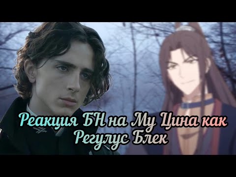 Видео: реакция БН на Му Цина как Регулус Блек