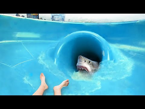 Видео: 46 Самых Крутых Горок в Аквапарке, От Которых Ты Офигеешь.