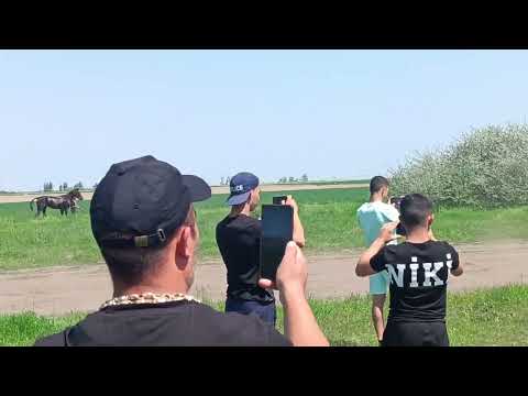 Видео: Състезание село Брес на 26.04.2025г.