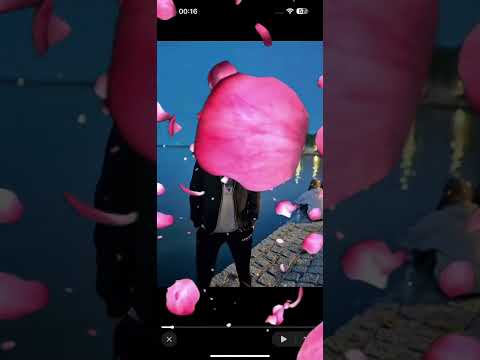 Видео: Тиркеш спивак 