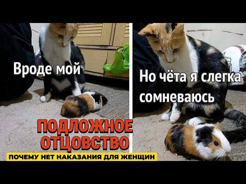 Видео: ПОДЛОЖНОЕ ОТЦОВСТВО | Почему нет наказания для женщин [ДНК тест на отцовство]