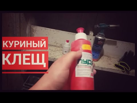 Видео: Красный куриный клещ и эффективный способ борьбы с ним. Работает 100 % |Избавиться от куриного клеща