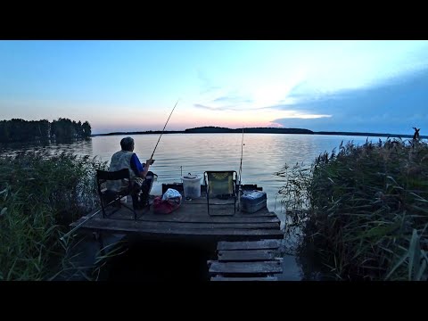 Видео: Рыбалка с Ночёвкой на Чигиринском Водохранилище. Ловим на Фидер. Фаршированные Перцы.