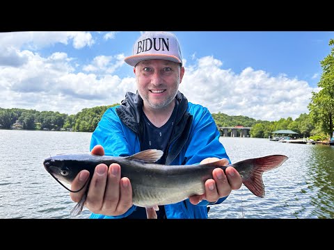 Видео: Обзор Крутого Района на Берегу Озера в Нашем Городе! Рыбалка на Lake Bowen, Южная Каролина!