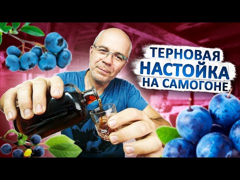 Видео: Очень редкий Рецепт самогона!! Ратафия терновая....