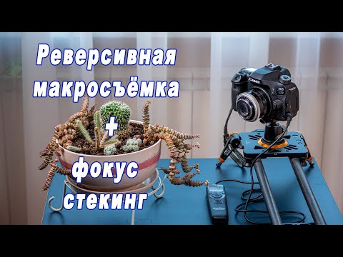 Видео: Реверсивная макросъёмка + фокус стекинг
