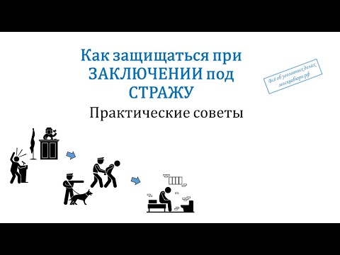 Видео: Как защищаться при заключении под стражу (практические советы)